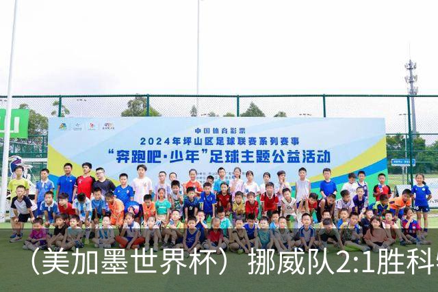 （美加墨世界杯）挪威队2:1胜科特迪瓦队 时隔28年重返16强