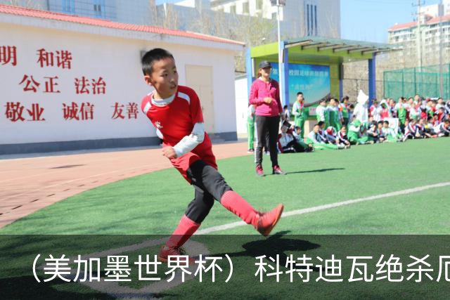 （美加墨世界杯）科特迪瓦绝杀厄瓜多尔 瑞典5:1大胜突尼斯