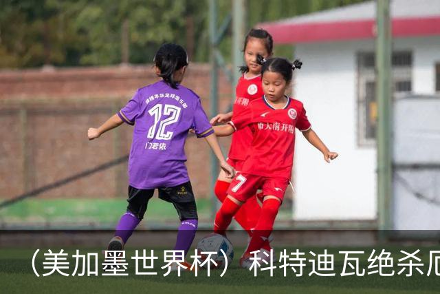 （美加墨世界杯）科特迪瓦绝杀厄瓜多尔 瑞典5:1大胜突尼斯